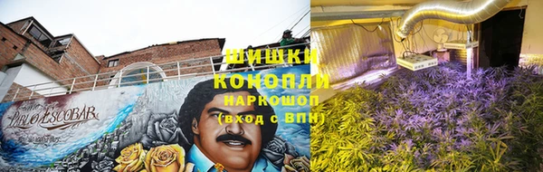 сатива Горнозаводск