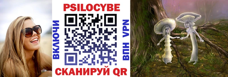 Купить  Мегион  Псилоцибиновые грибы Psilocybe 